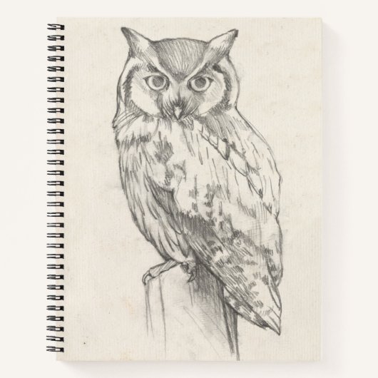 Carnet Portrait de hibou - Croquis (Devant)