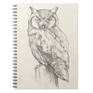 Carnet Portrait de hibou - Croquis