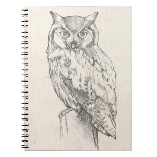 Carnet Portrait de hibou - Croquis (Devant)