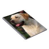 Carnet Portrait De Labrador Retriever, Hilton (Côté Droit)