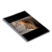 Carnet Portrait de Lion (Côté Droit)