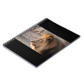 Carnet Portrait de Lion (Côté gauche)