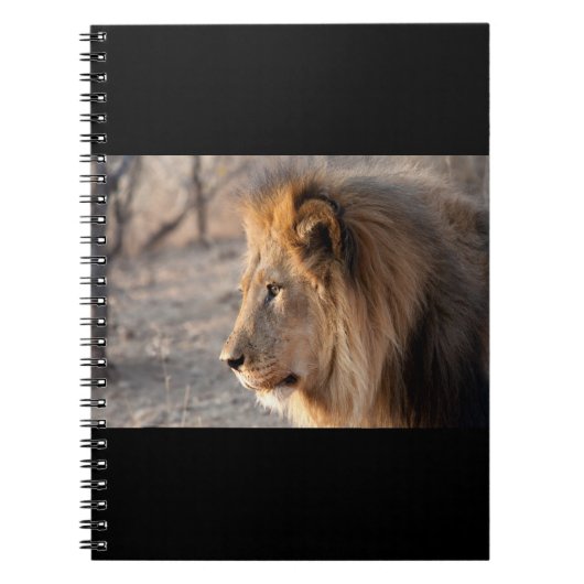 Carnet Portrait de Lion (Devant)