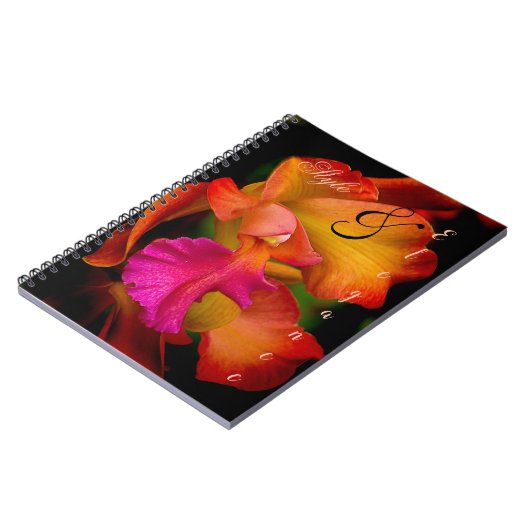 Carnet Portrait de l'orchidée de Cattleya (Côté gauche)