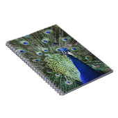Carnet Portrait de paon avec des plumes (Côté Droit)