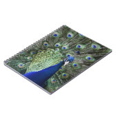 Carnet Portrait de paon avec des plumes (Côté gauche)