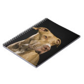Carnet Portrait de pitbulle de nez rouge avec noir (Côté gauche)