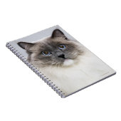 Carnet Portrait de Ragdoll (Côté Droit)