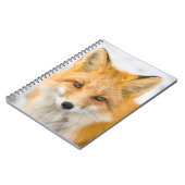 Carnet Portrait de renard roux (Côté gauche)