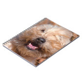 Carnet Portrait de Terrier roux à revêtement souple (Côté gauche)