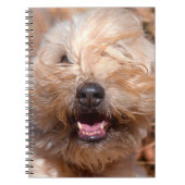 Carnet Portrait de Terrier roux à revêtement souple (Devant)
