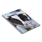 Carnet Portrait de vache (Côté Droit)
