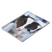 Carnet Portrait de vache (Côté gauche)