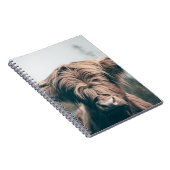 Carnet Portrait de vache Highland (Côté Droit)