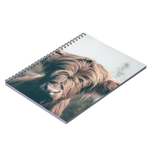 Carnet Portrait de vache Highland (Côté gauche)