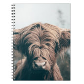 Carnet Portrait de vache Highland (Devant)