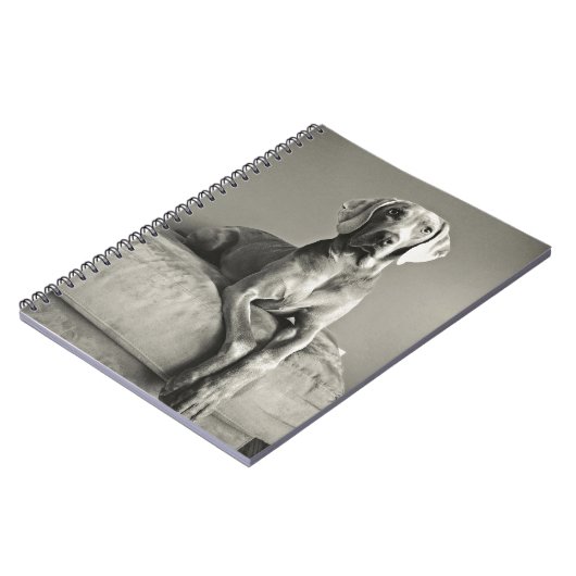 Carnet Portrait de Weimaraner (Côté gauche)