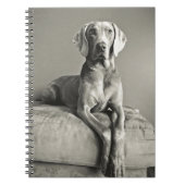 Carnet Portrait de Weimaraner (Devant)