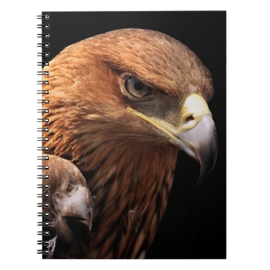 Carnet Portrait d'Eagle d'isolement sur le noir (Devant)