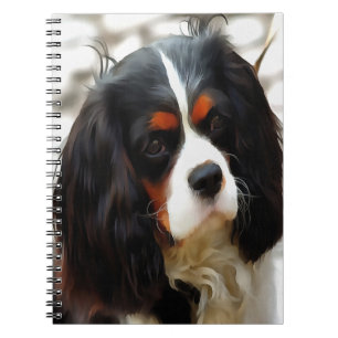 Carnet Portrait d'Espagne