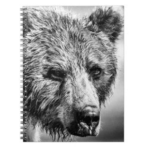 Carnet Portrait d'ours grizzli