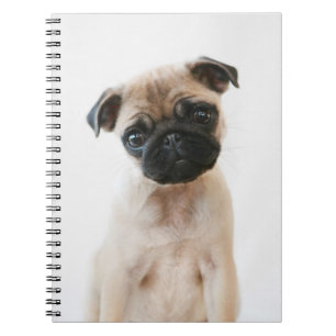 Carnet Portrait du Carlin pour bébés