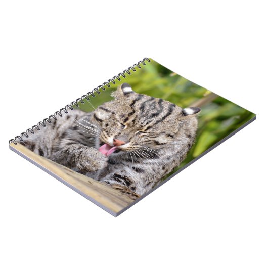 Carnet Portrait du chat pêcheur (Côté gauche)