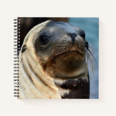 Carnet Portrait du lion de mer (Devant)