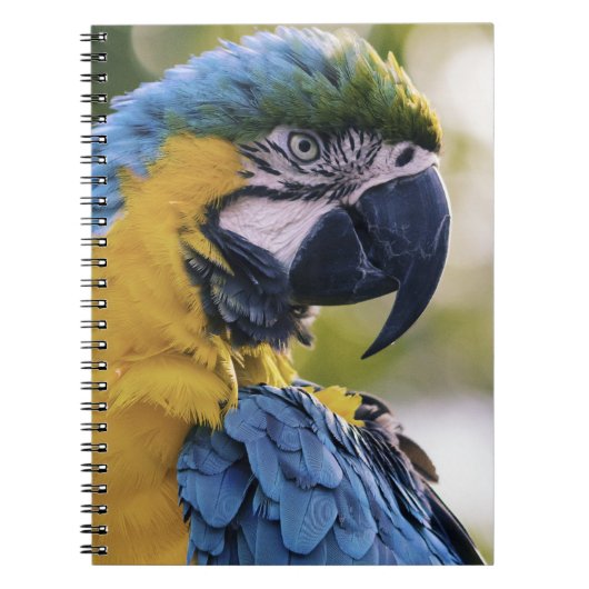 Carnet Portrait du profil de la perroquet macaw (Devant)