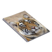 Carnet Portrait du Tigre royal du Bengale, Ranthambhor (Côté Droit)
