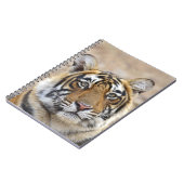 Carnet Portrait du Tigre royal du Bengale, Ranthambhor (Côté gauche)