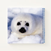 Carnet Portrait d'un bébé phoque de la banquise (Dos)