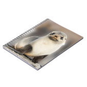 Carnet Portrait d'un bébé phoque sur la plage (Côté gauche)