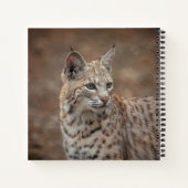 Carnet Portrait d'un Bobcat (Dos)