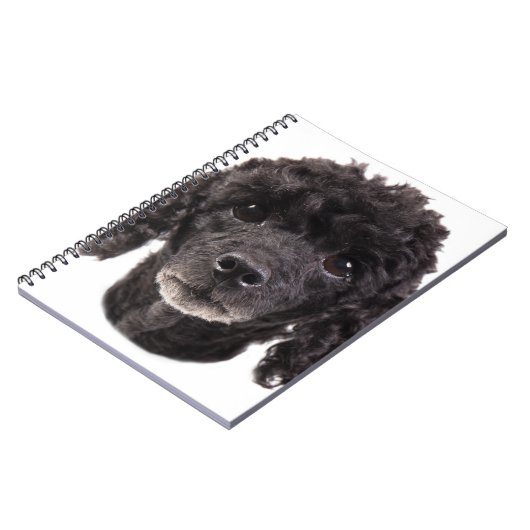 Carnet Portrait d'un caniche noir (Côté gauche)