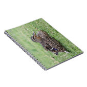 Carnet Portrait d'un colvert féminin (Côté Droit)