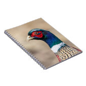 Carnet Portrait d'un faisan (Côté Droit)