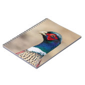 Carnet Portrait d'un faisan (Côté gauche)