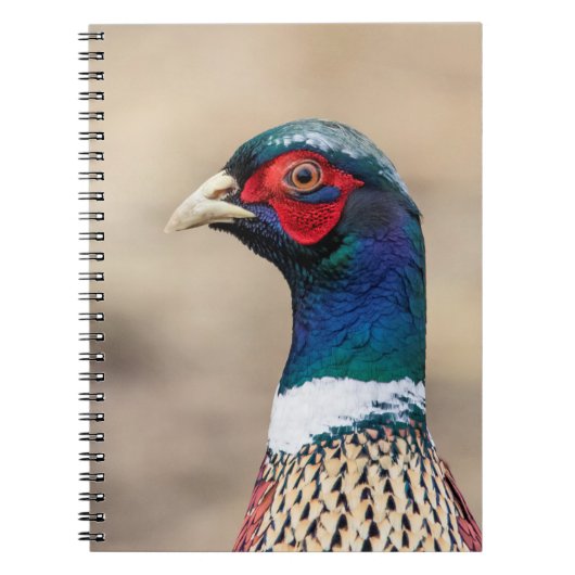 Carnet Portrait d'un faisan (Devant)