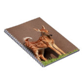 Carnet Portrait d'un faon (cerf de Virginie) (Côté Droit)