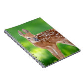 Carnet Portrait d'un nouveau-né (cerf de Virginie) (Côté Droit)