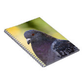 Carnet Portrait D'Un Pigeon (Côté Droit)