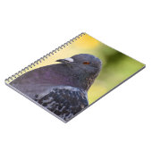 Carnet Portrait D'Un Pigeon (Côté gauche)