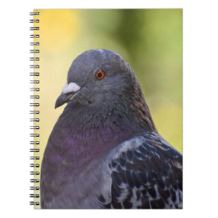 Carnet Portrait D'Un Pigeon