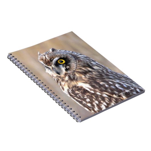 Carnet Portrait d'une chouette à courte portée (Côté Droit)