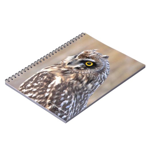 Carnet Portrait d'une chouette à courte portée (Côté gauche)