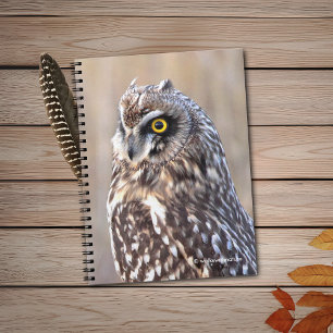 Carnet Portrait d'une chouette à courte portée