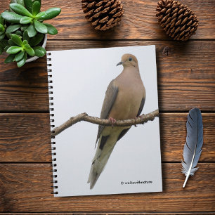 Carnet Portrait d'une colombe en deuil