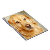 Carnet Portrait Golden Retriever (Côté Droit)