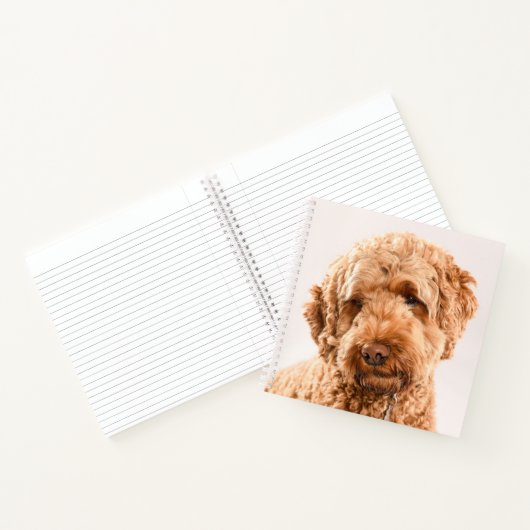 Carnet Portrait Goldendoodle Studio (Intérieur)